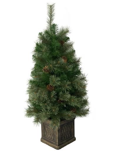 Stratford Mixed Pine Potted Christmas Tree – 1.1m